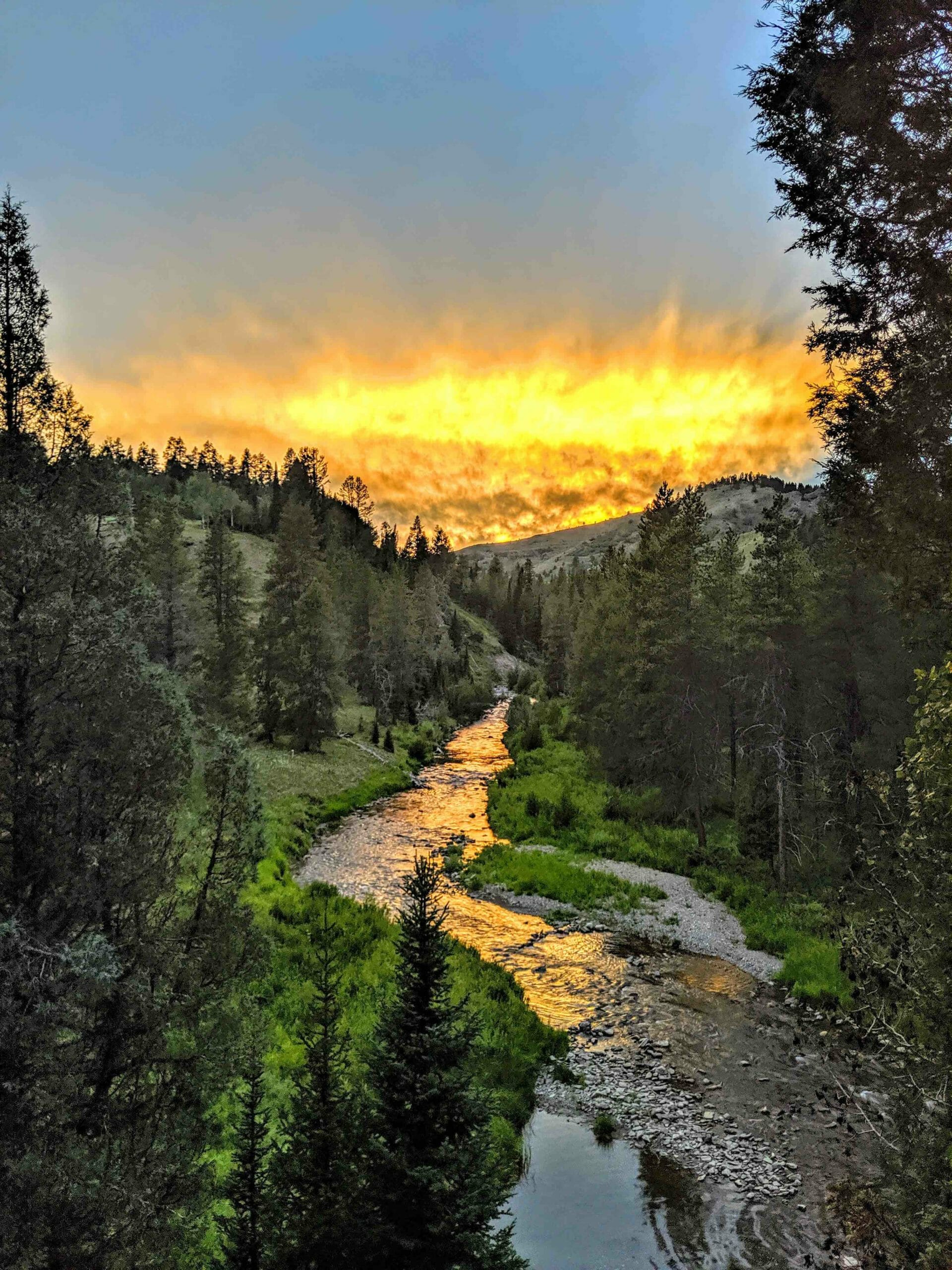 A trout stream running through a canyon at sunset.