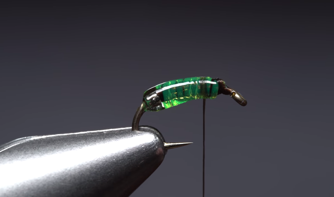 Shiney Hiney Caddis Pupa