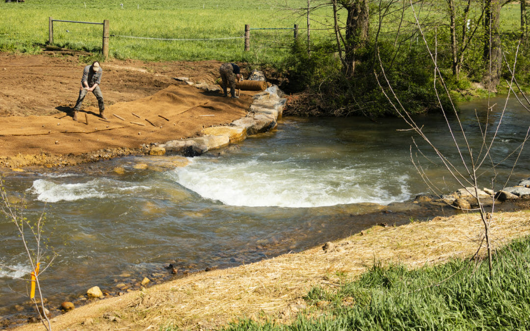 Beer boost: Team effort improves habitat on Virginia’s Beaver Creek
