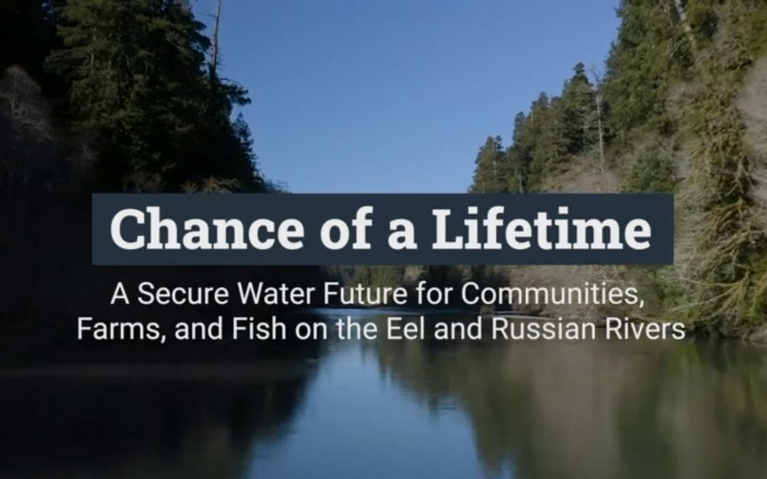 Chance of a lifetime