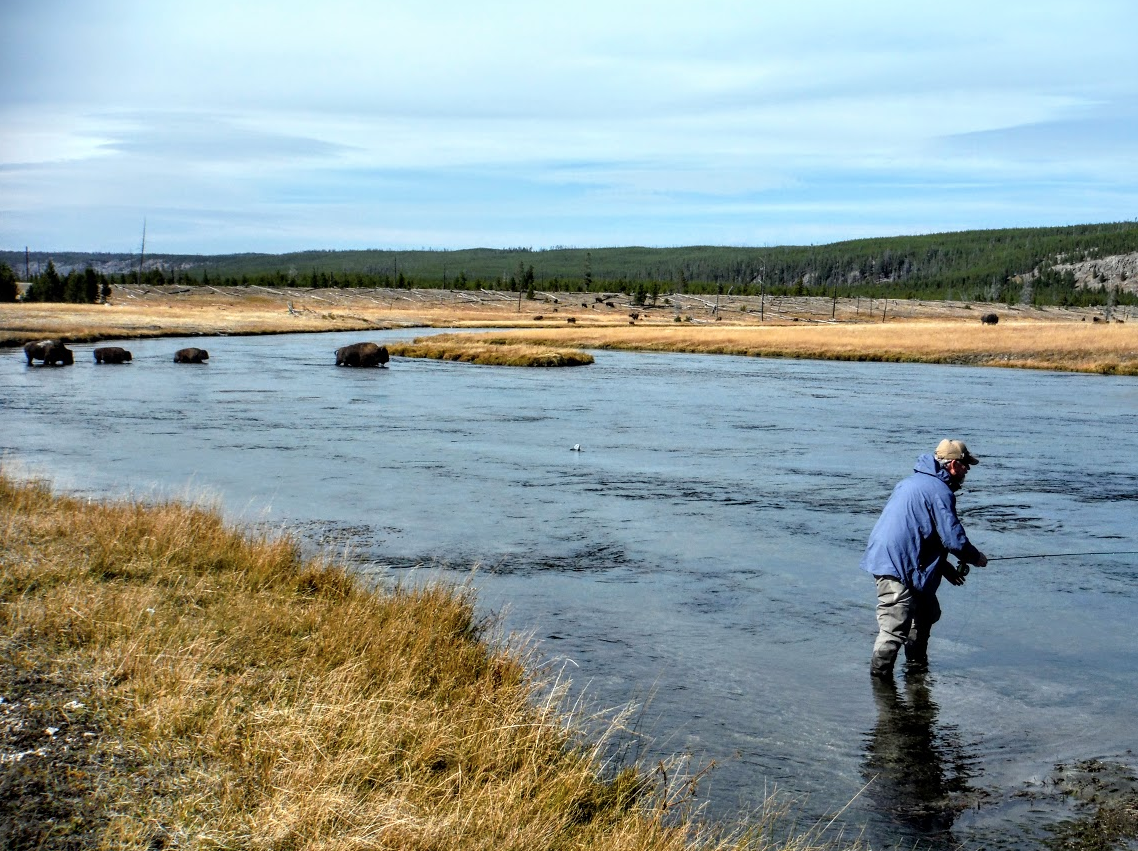 Fishing the Firehole River in Yellowstone National Park.