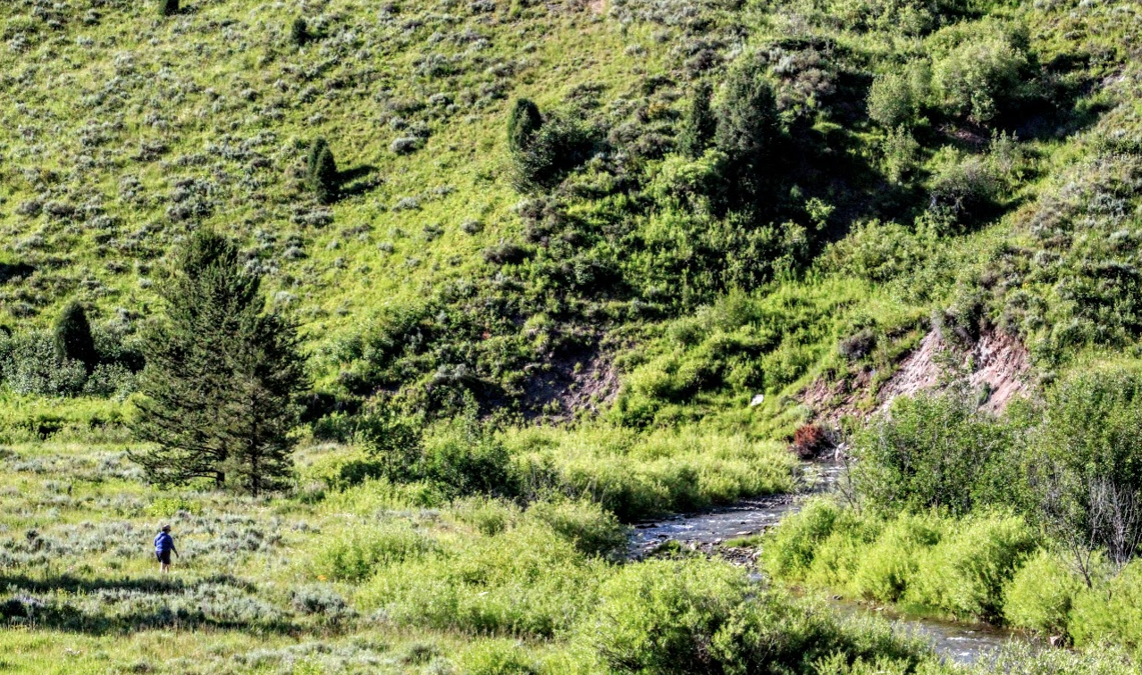 An angler walking to a trout stream.