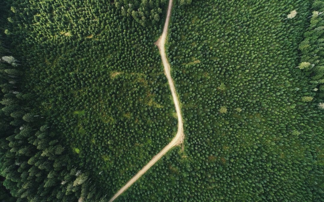 Roadless Rule Repeal in Alaska? Bad idea.