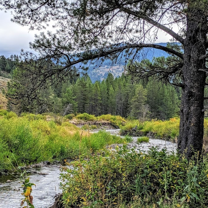 Take the TU climate change survey