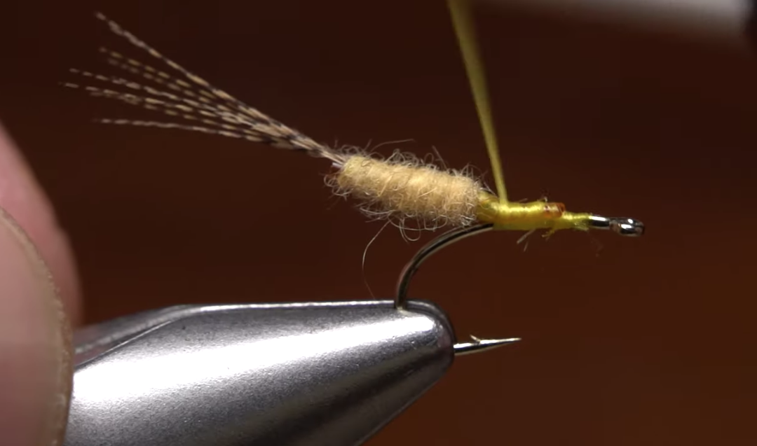 Tying easy extended bodies