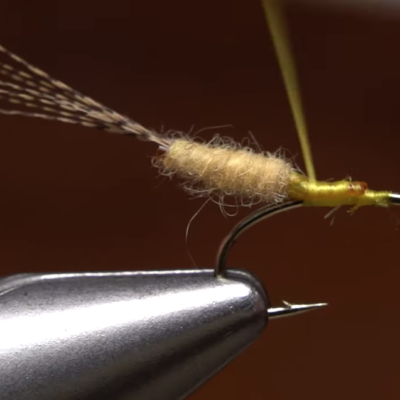 Tying an extended body fly
