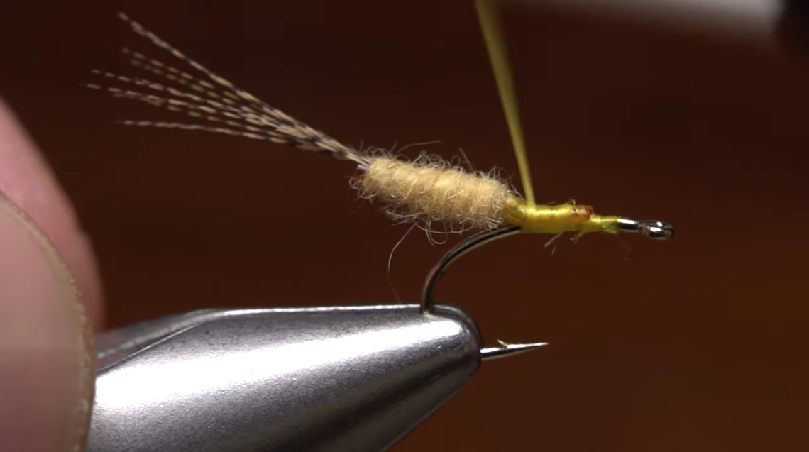 Tying an extended body fly