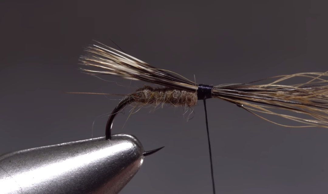 The Chuck Caddis