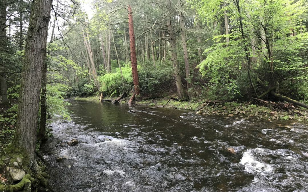 Trout waters gain added protections in New Jersey