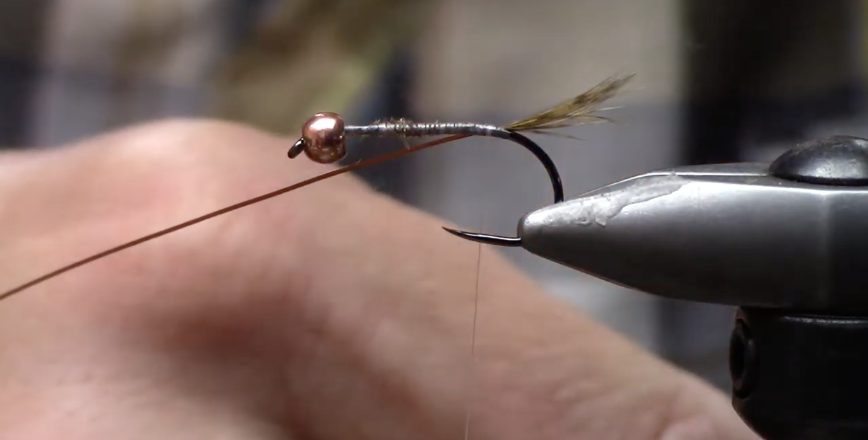 Matt Callies' Hare's Ear Nymph - Trout Unlimited