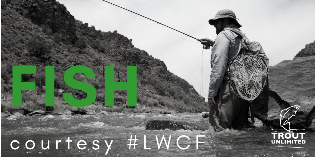 LWCF