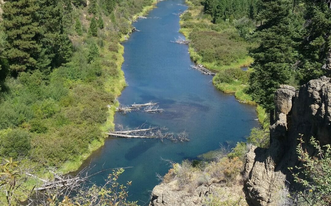 TU awarded $1.53 million for eight restoration projects in upper Klamath Basin