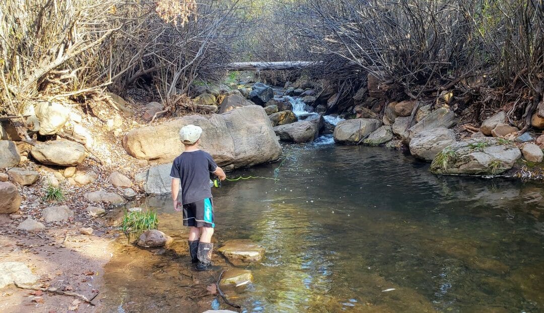 Ease young anglers into fly fishing