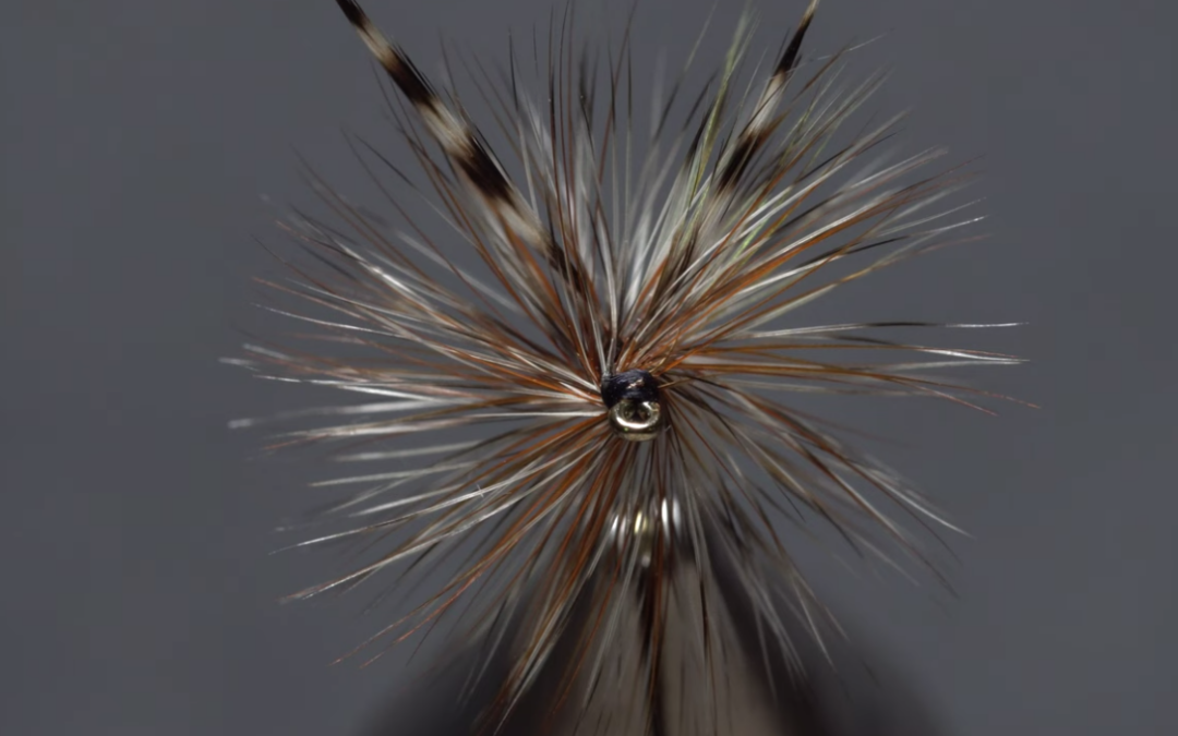 Brown and grizzly hackle mix