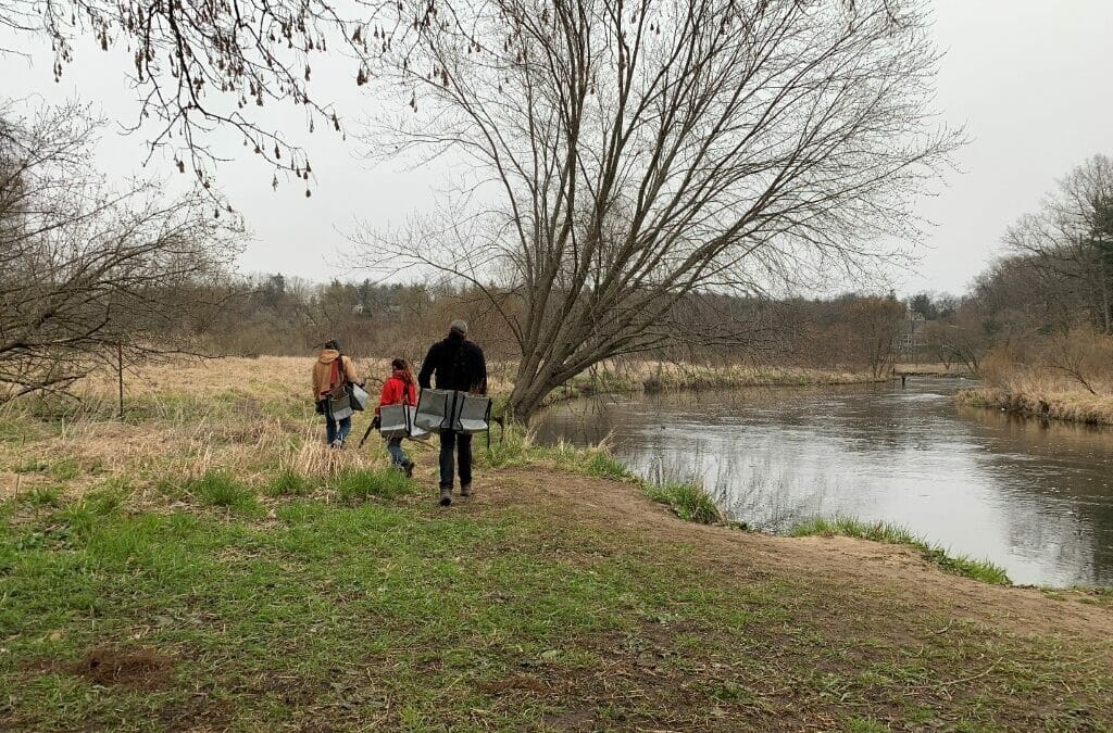 Trout Unlimited activates ‘tree army’ in Michigan