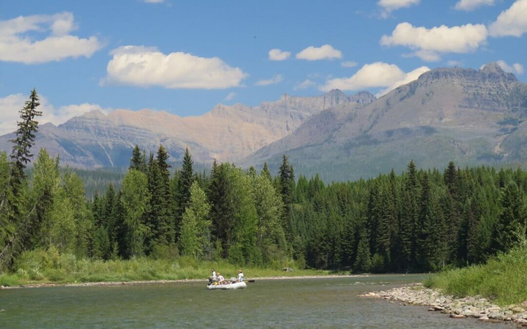 The Land Ethic