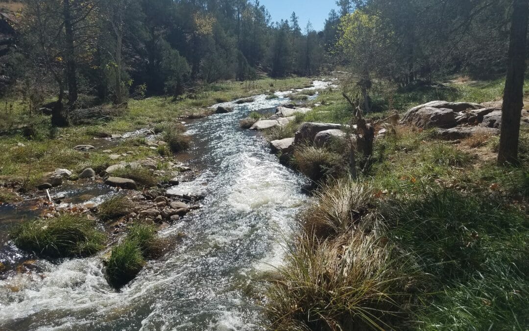 Fishing a two-fly rig downstream