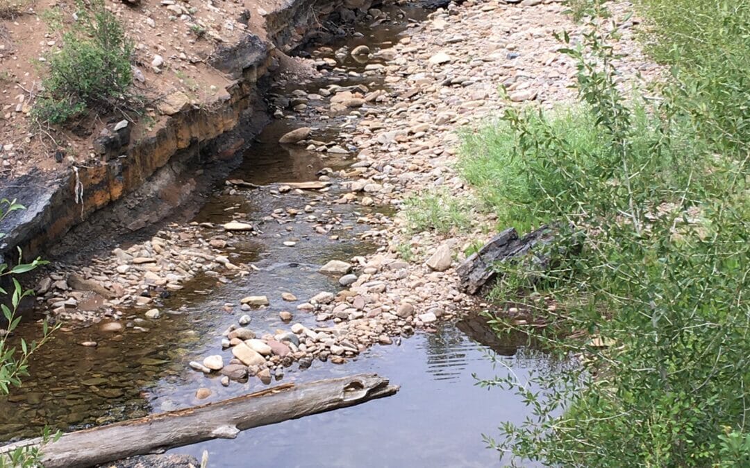 Drought and trout