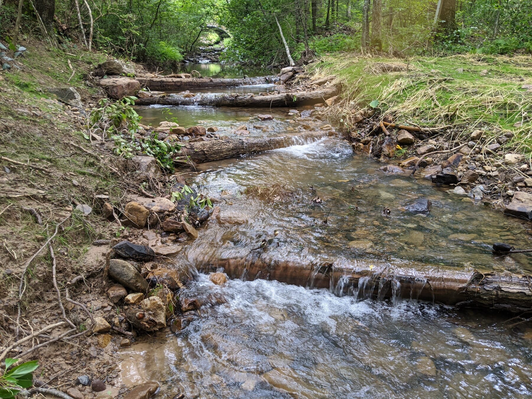 TU and Forest Service team up to reconnect trout stream in Virgina
