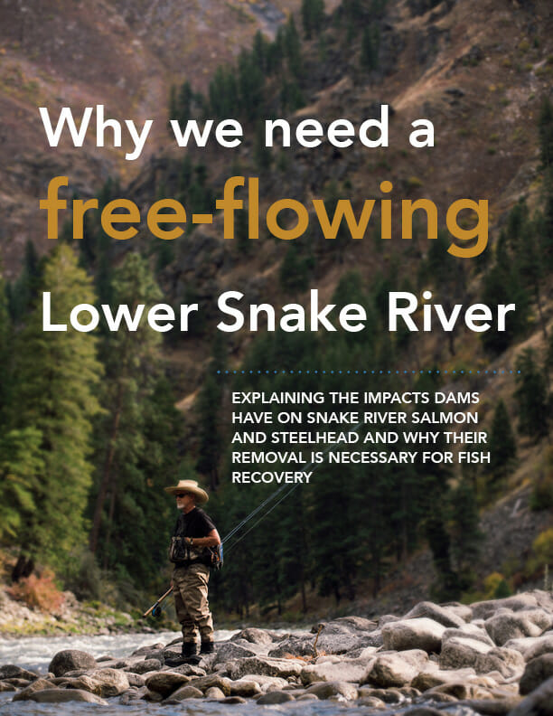 Why we need a free-flowing Lower Snake River report