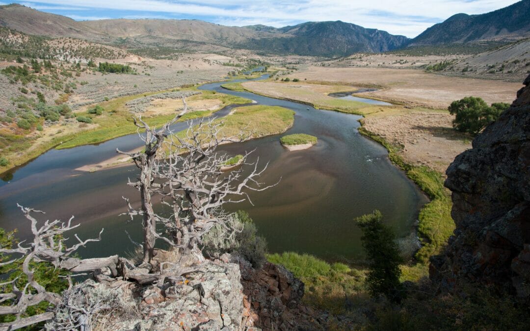 Take action: A chance in Congress to help our rivers, fish, and economy