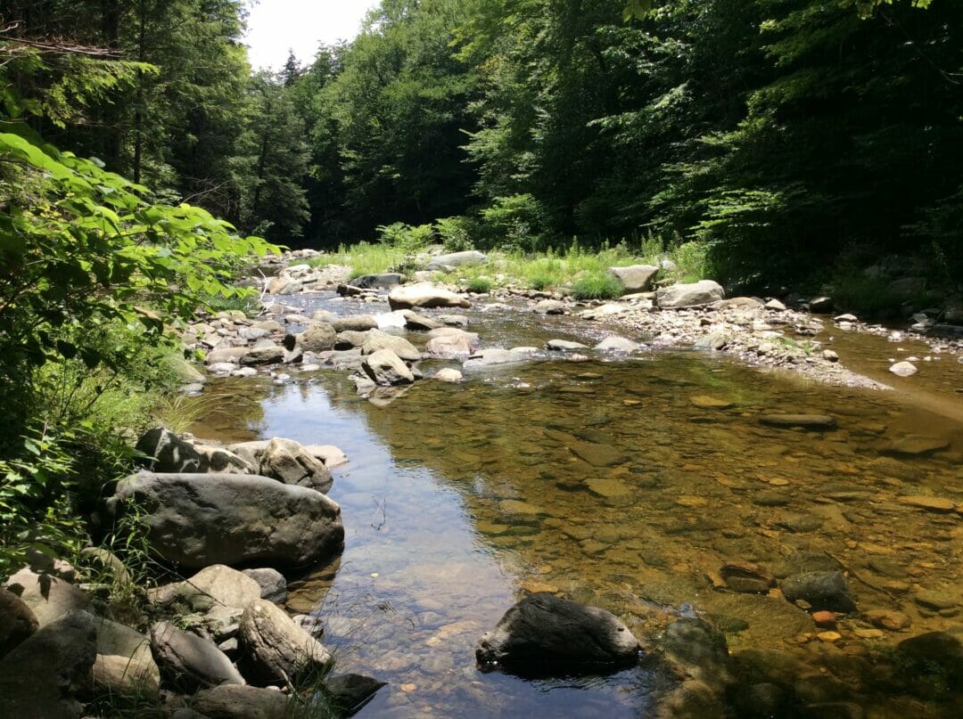 Massachusetts Brook Trout Conservation Area Growing Trout Unlimited