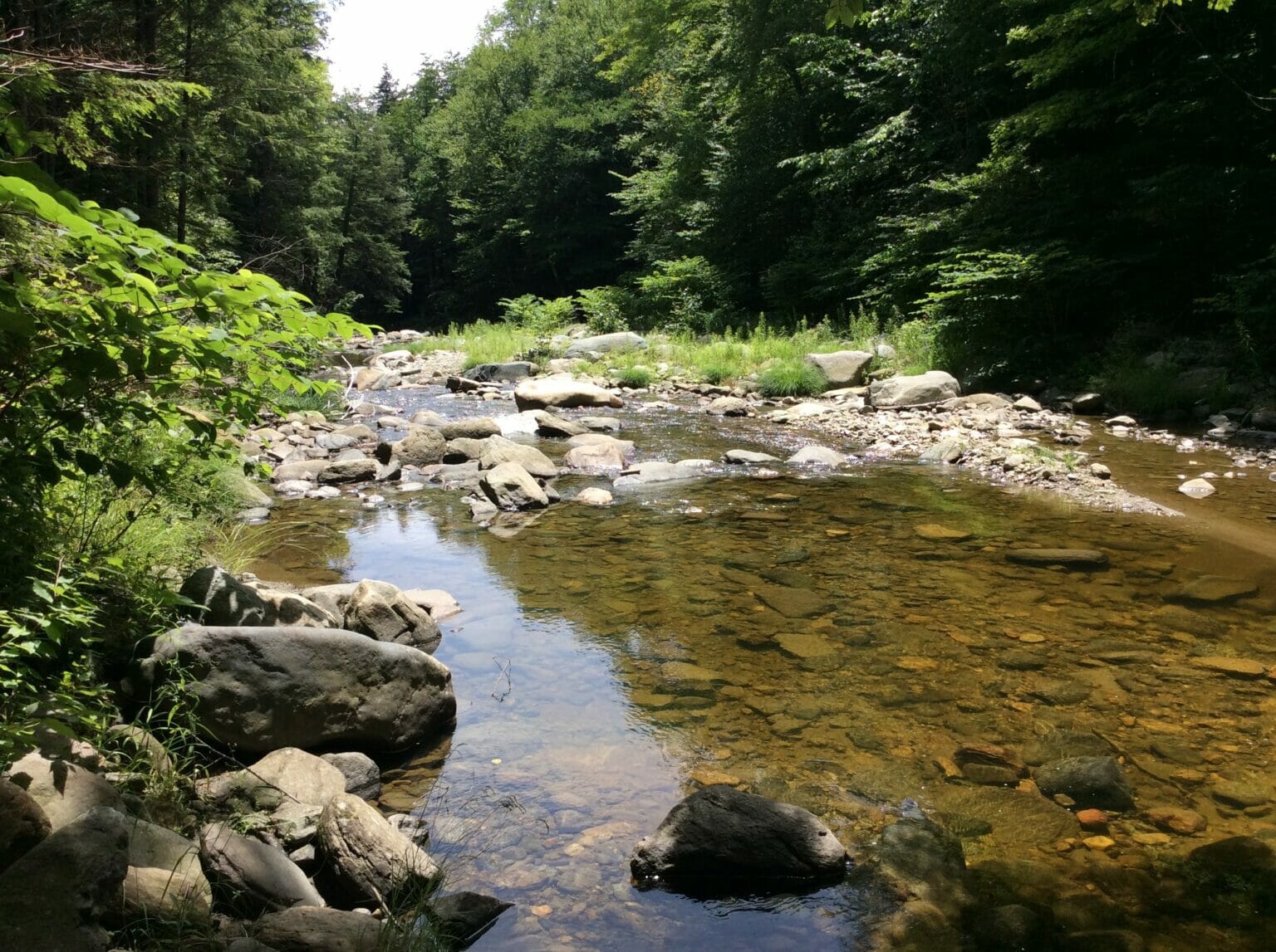 Massachusetts Brook Trout Conservation Area Growing Trout Unlimited