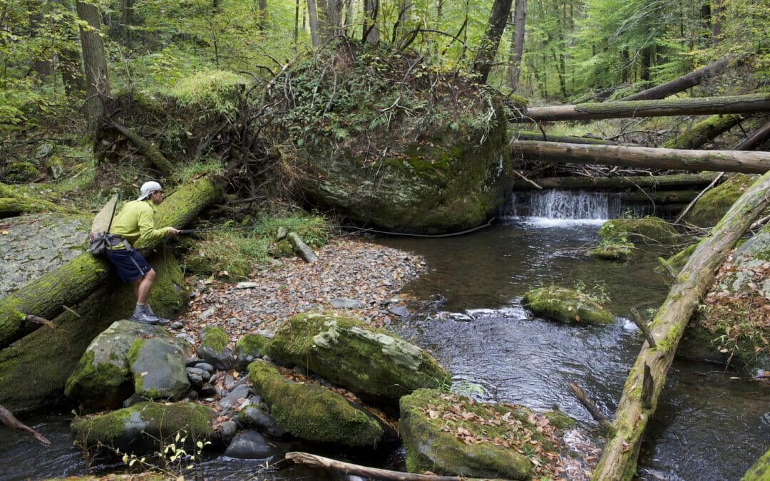 Trout and conservation get two big wins in Pennsylvania