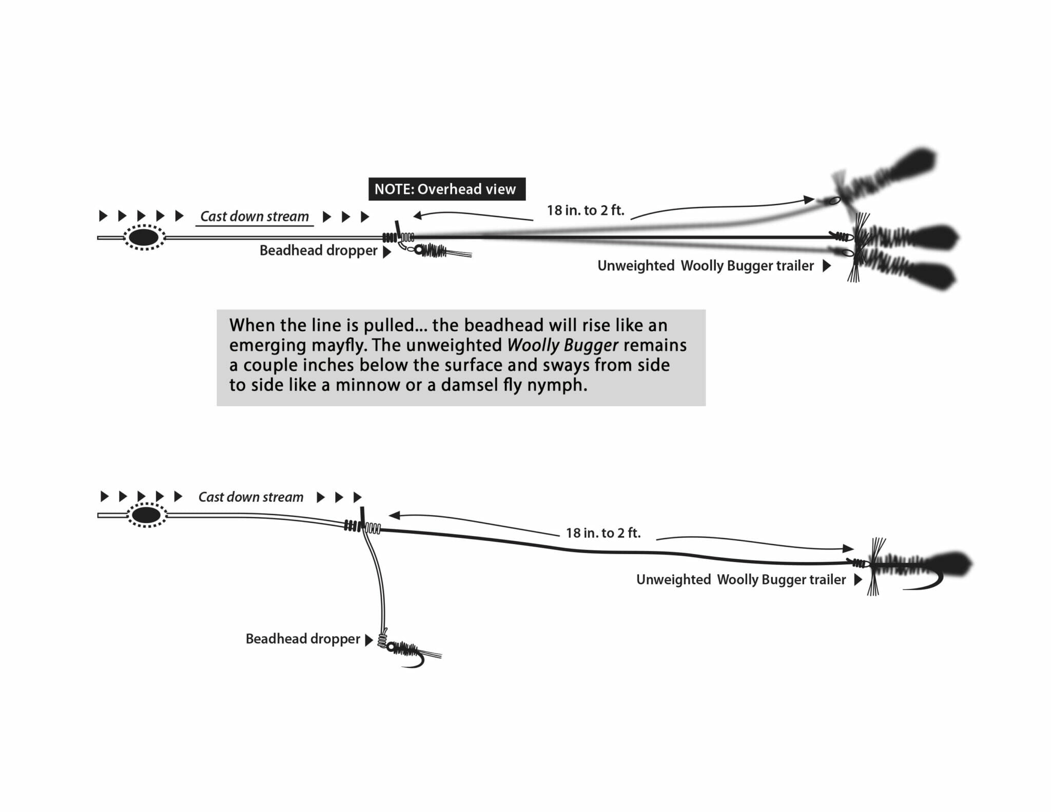 Fishing A Twofly Rig Downstream Trout Unlimited