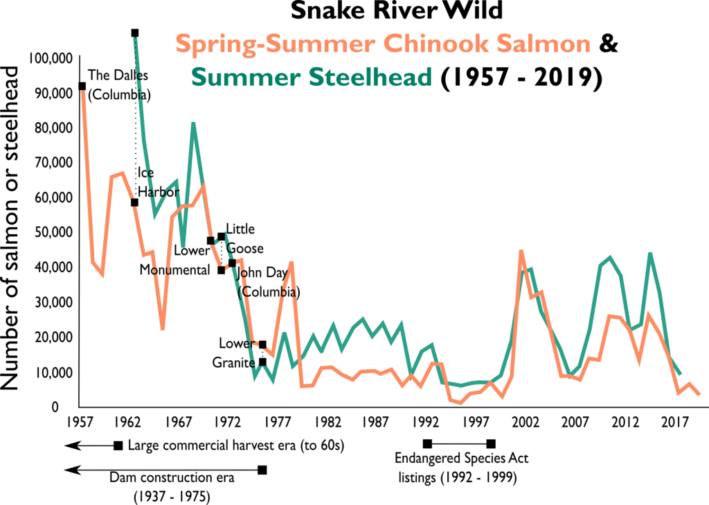 Graph of Snake River salmon and steelhead decline