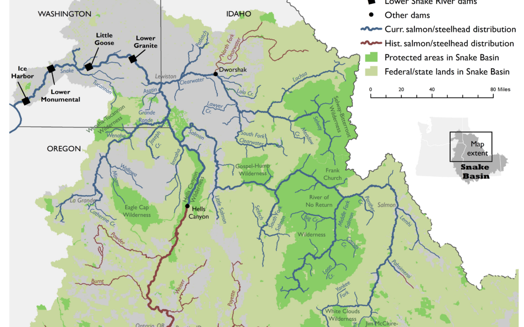 Lower Snake FEIS not the solution to recover salmon and steelhead