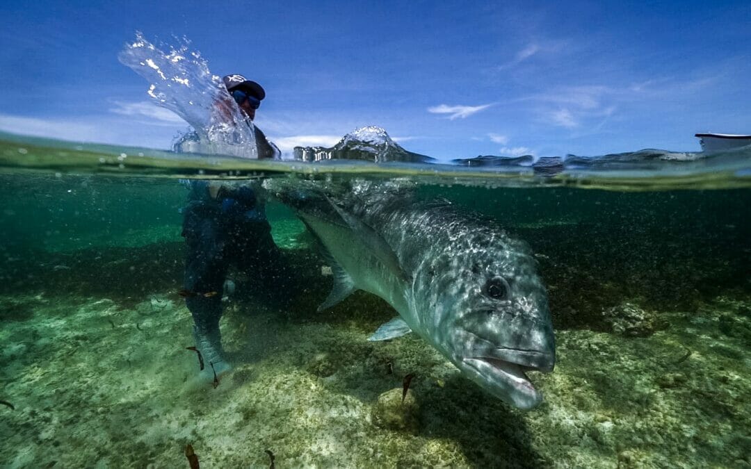 The Fly Fishing Film Tour goes virtual on Aug. 27