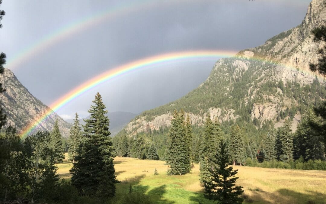 Rainbows and unicorns