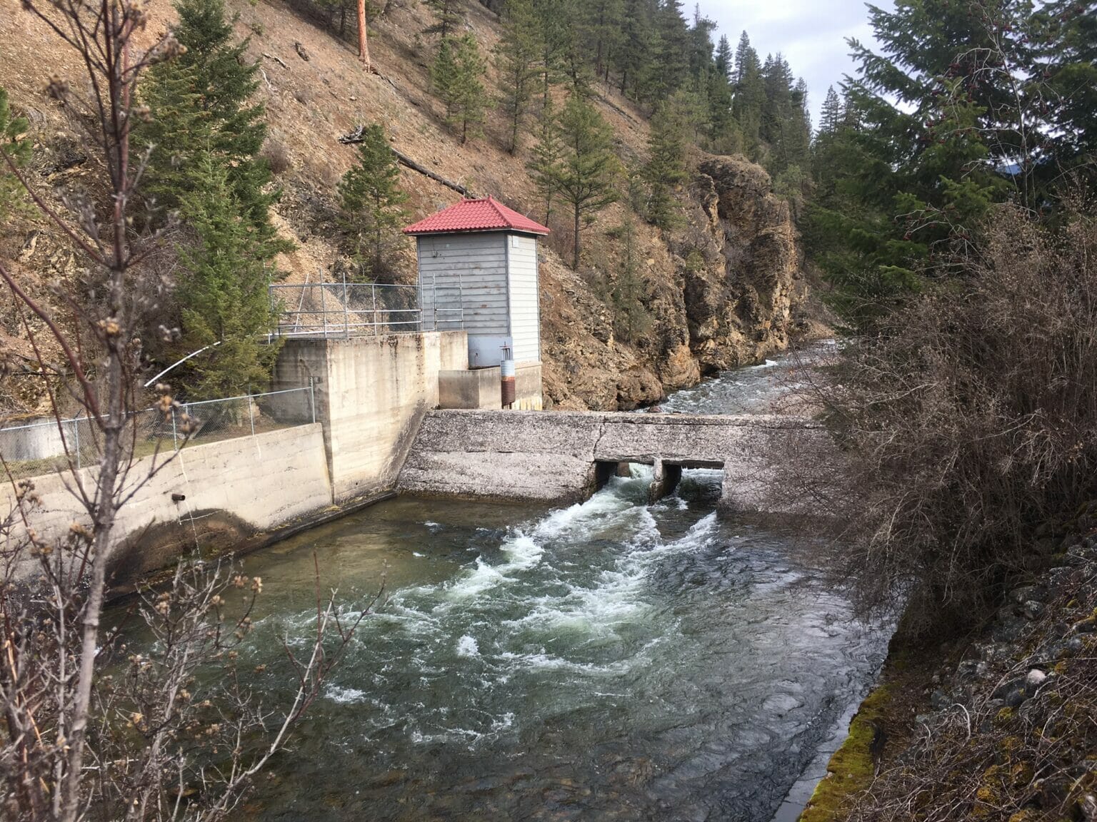 Rattlesnake Dam Removal Is Almost Complete Trout Unlimited