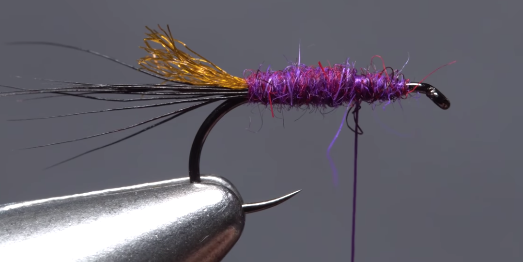 Last Chance Purple Haze