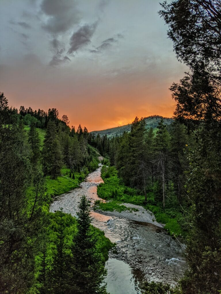 A view up a canyon in eastern Idaho.