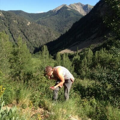 A woman picks berries in the Colorado high country.