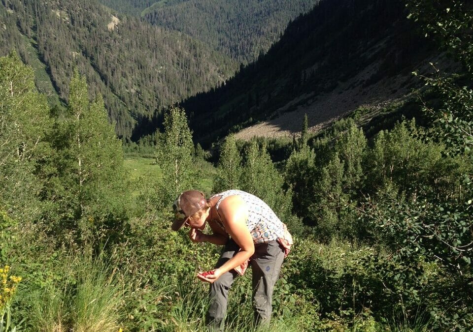 Living off the land