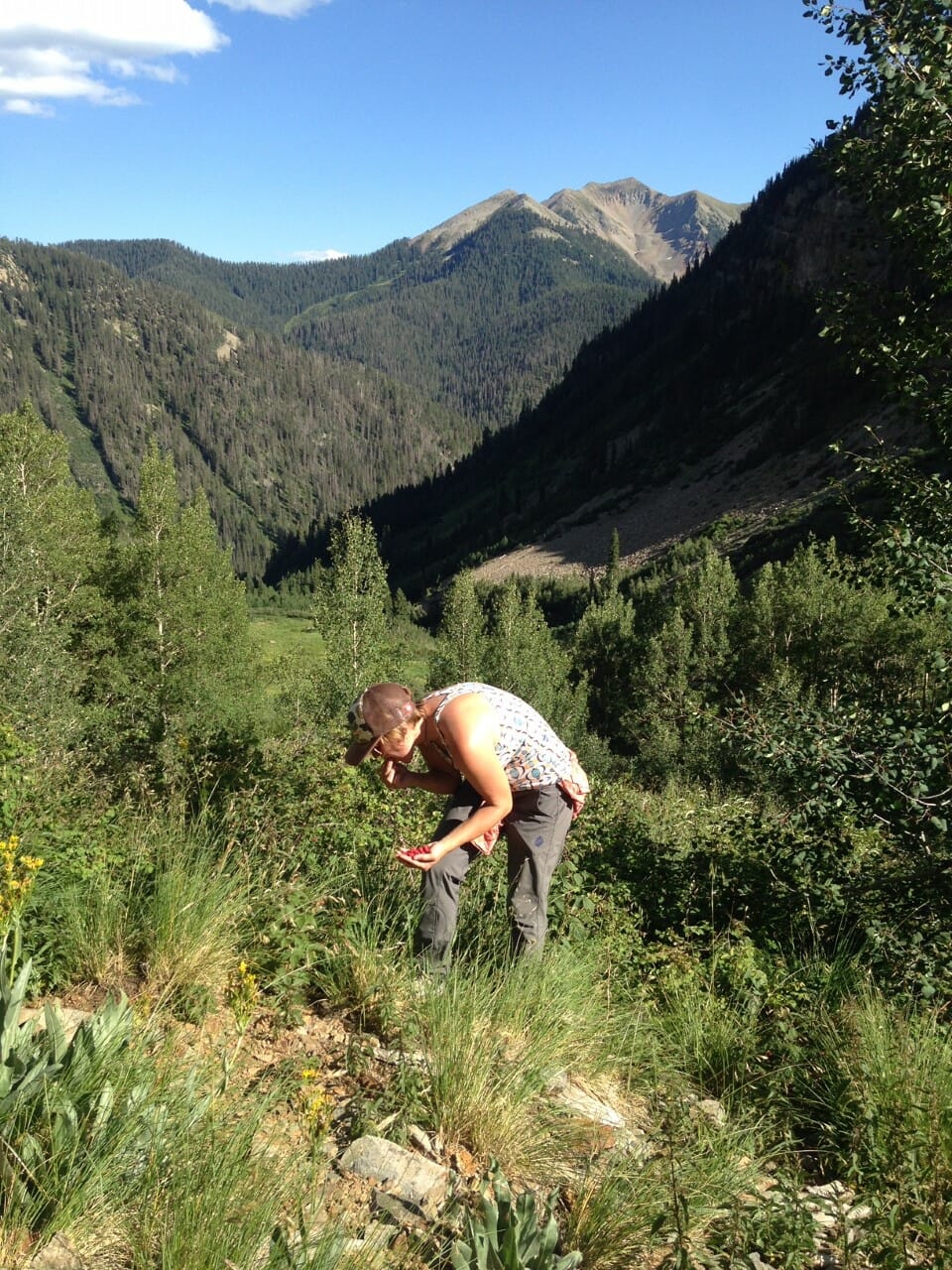 A woman picks berries in the Colorado high country.