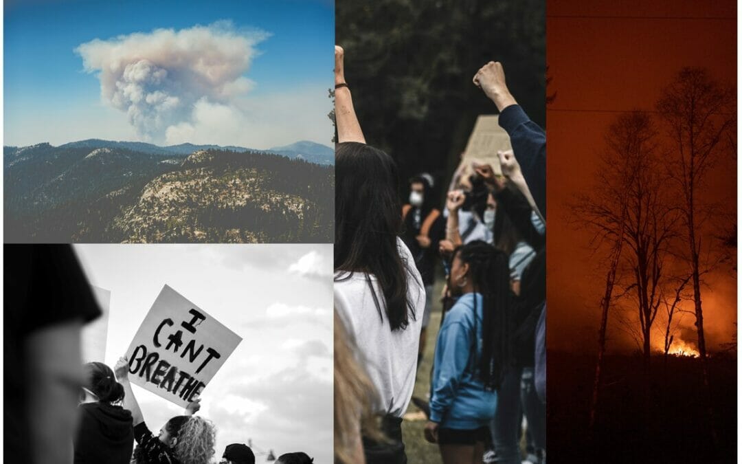 Healing our Ecosystem: Recovering Belonging from the Wounds of Colonialism