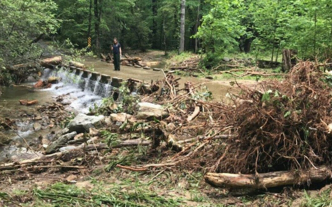Trout Unlimited volunteers fan out to survey Wilson Creek in North Carolina