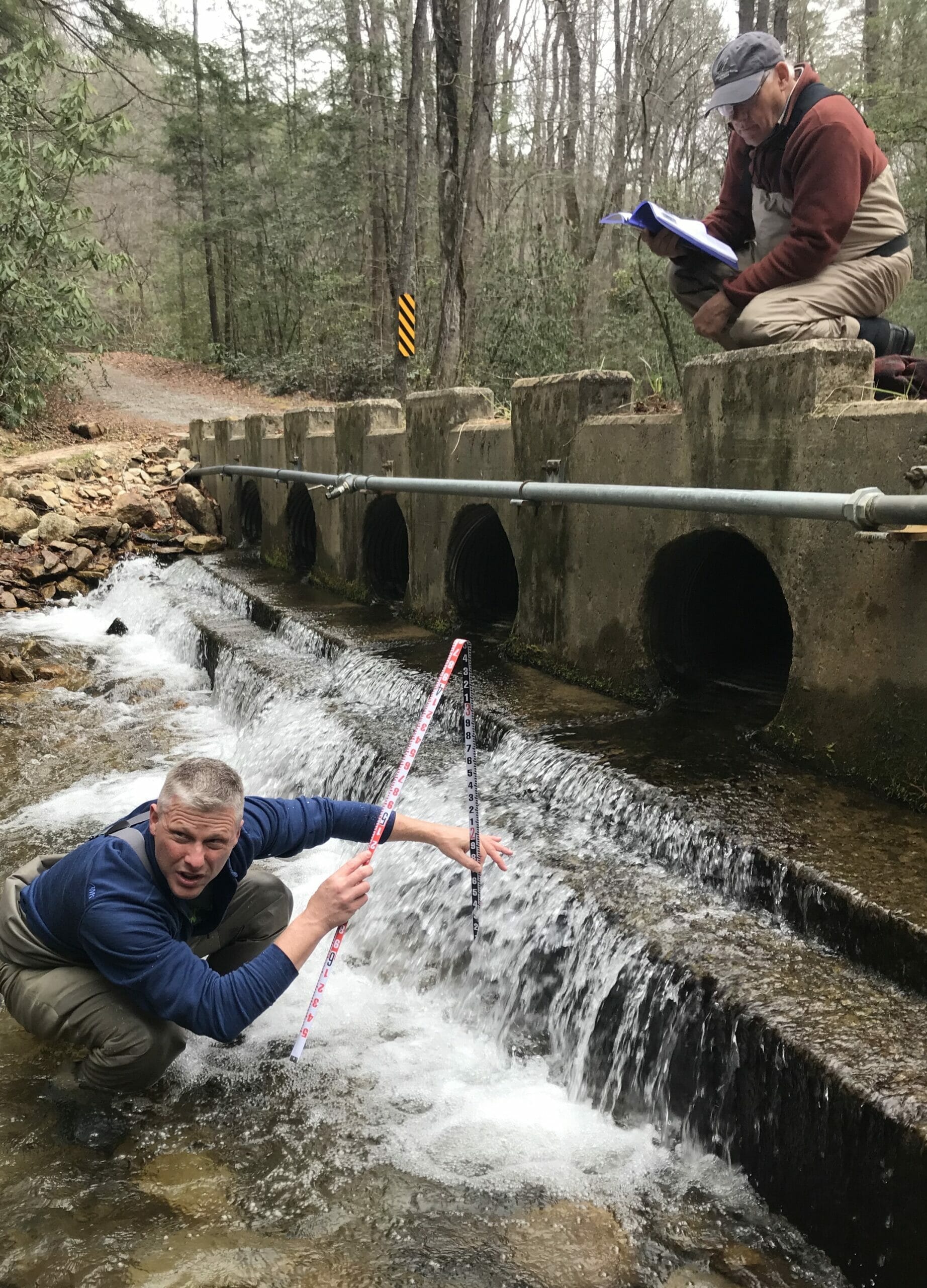 Trout Unlimited Volunteers Fan Out To Survey Wilson Creek In North