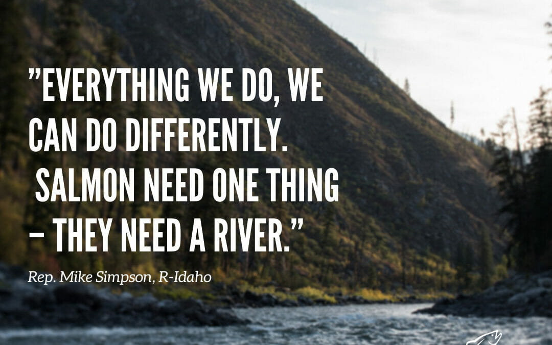 Show your support for Snake River salmon and steelhead