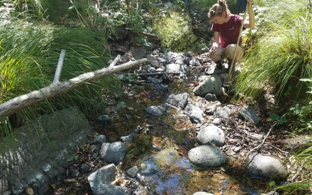 TU’s Conservation Hydrology program steps in to monitor and measure California streams