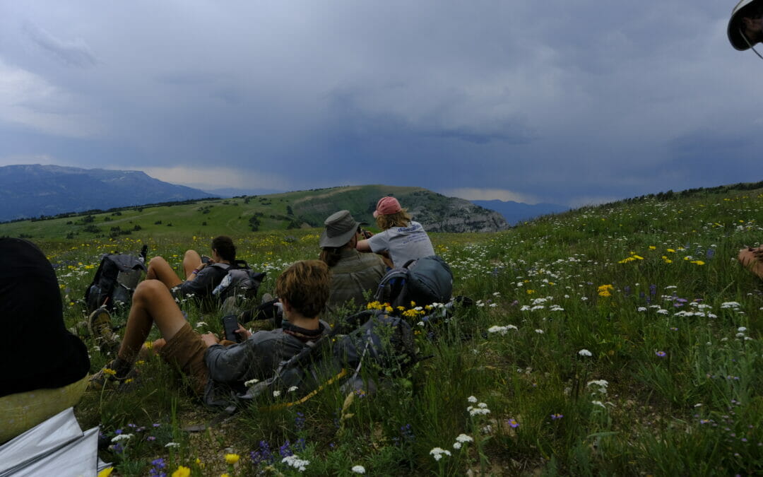 Hiking the CDT: Aunt Luchrysta, a bull moose in the river and West Yellowstone