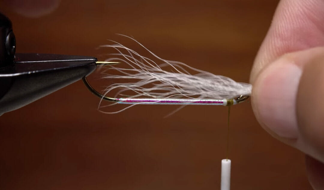 Tying the Franke Shiner baitfish imitation for migrating browns