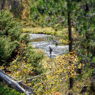 An angler fishes a small, mountain stream in Idaho.