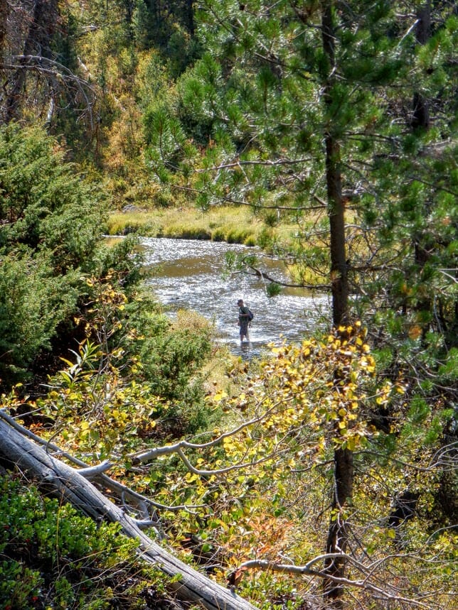An angler fishes a small, mountain stream in Idaho.