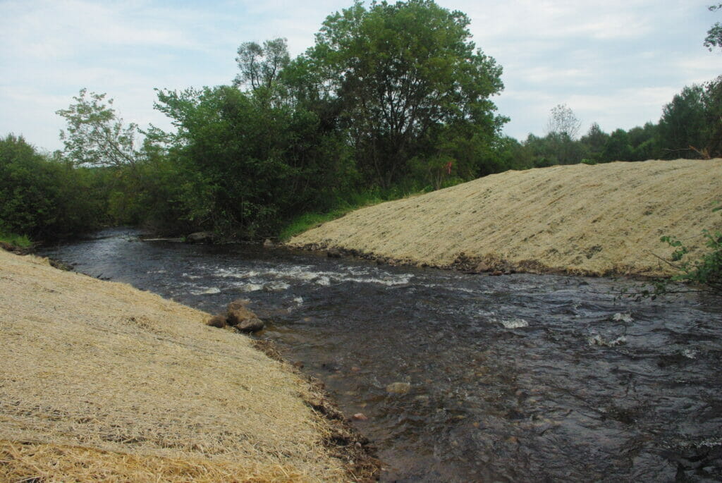 TU And Partners Remove Logging Dam On Wisconsin Trout Stream Trout