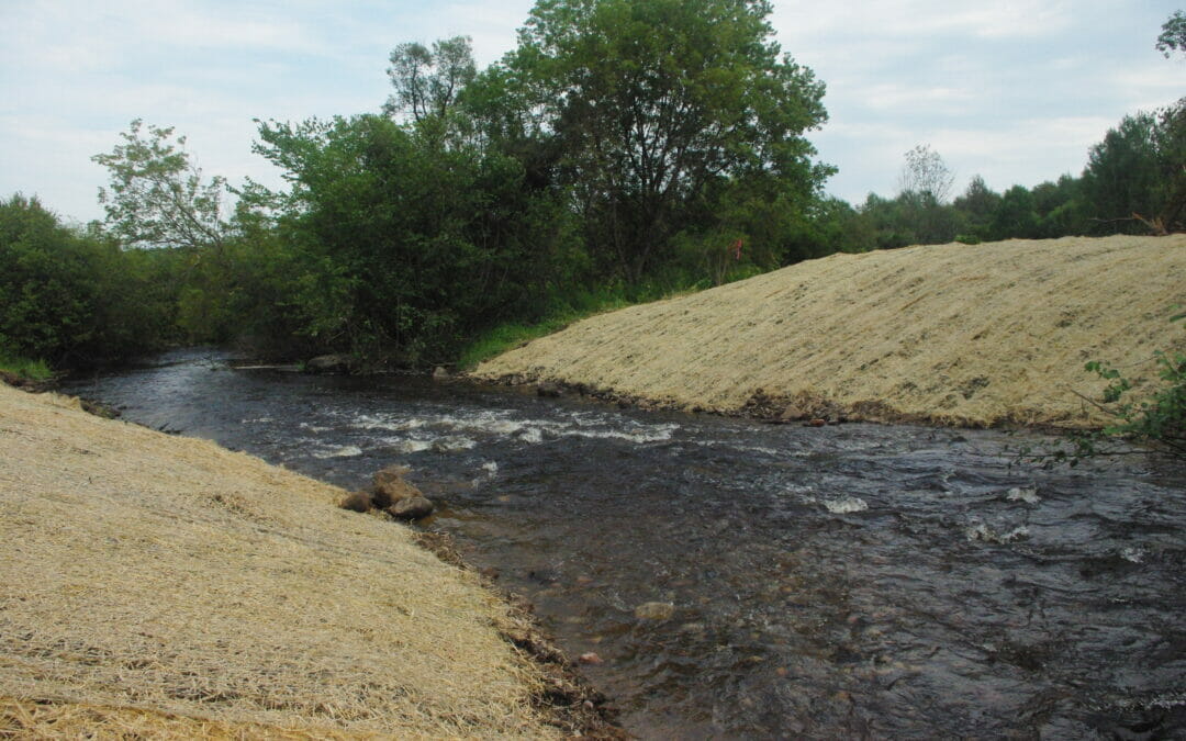 TU and partners remove logging dam on Wisconsin trout stream
